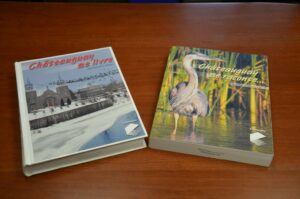 Couverture de livres Chateauguay se raconte