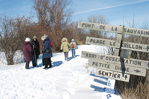 Refuge faunique Marguerite-d'Youville en Hiver