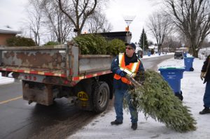 Travailleur qui met des arbres dans un camion