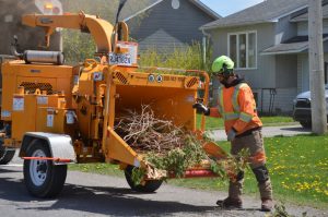 Travailleur qui mets des branche dans le déchiqueteur 