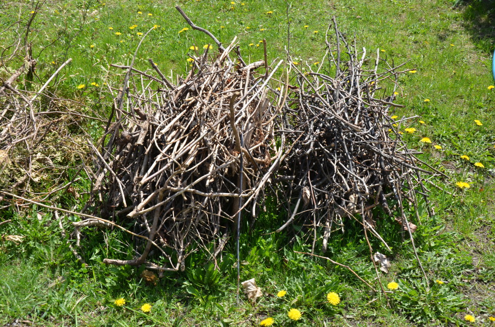 Petit paquet de branches au chemin