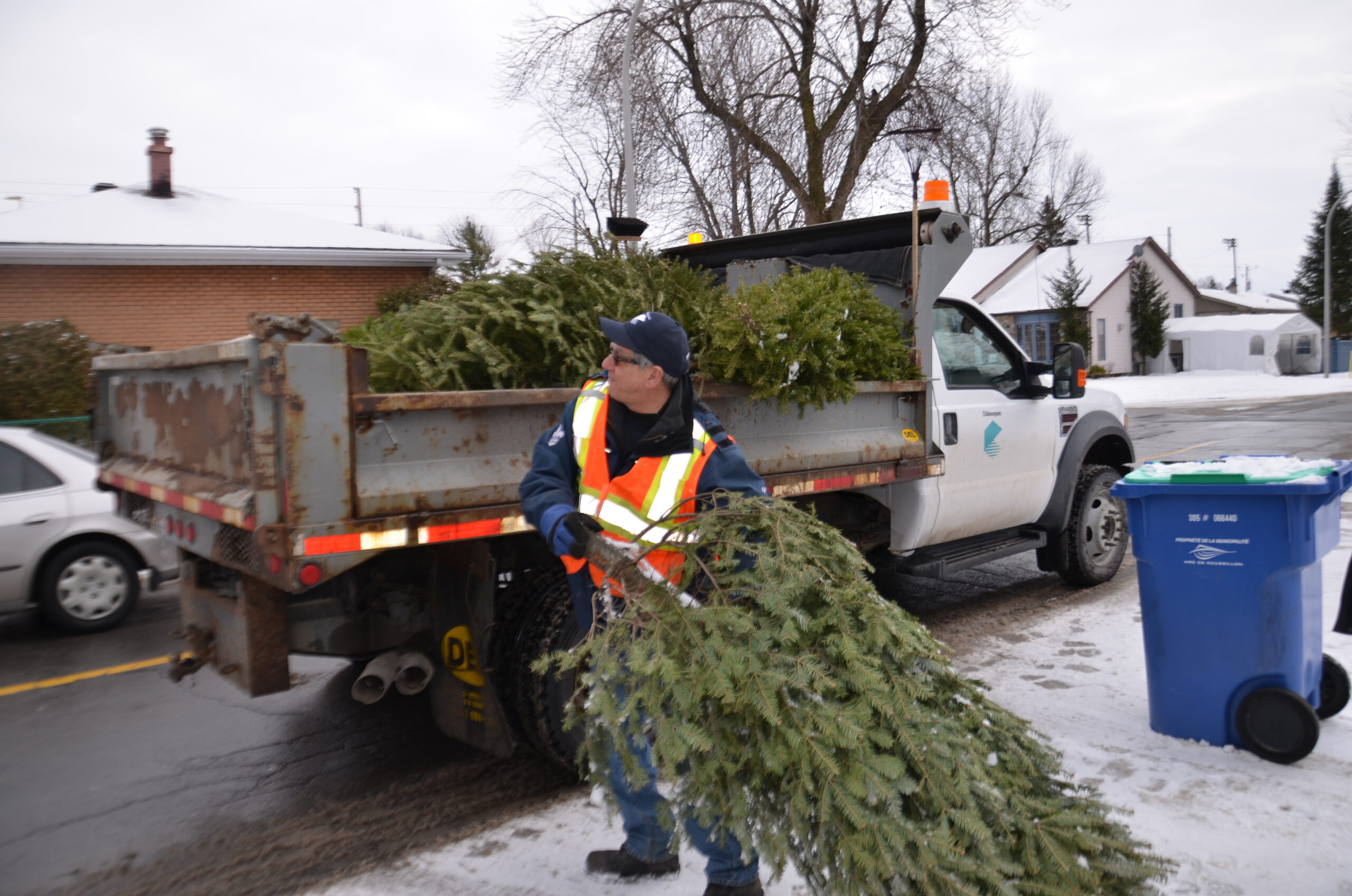 worker putting christmas tree in his truck