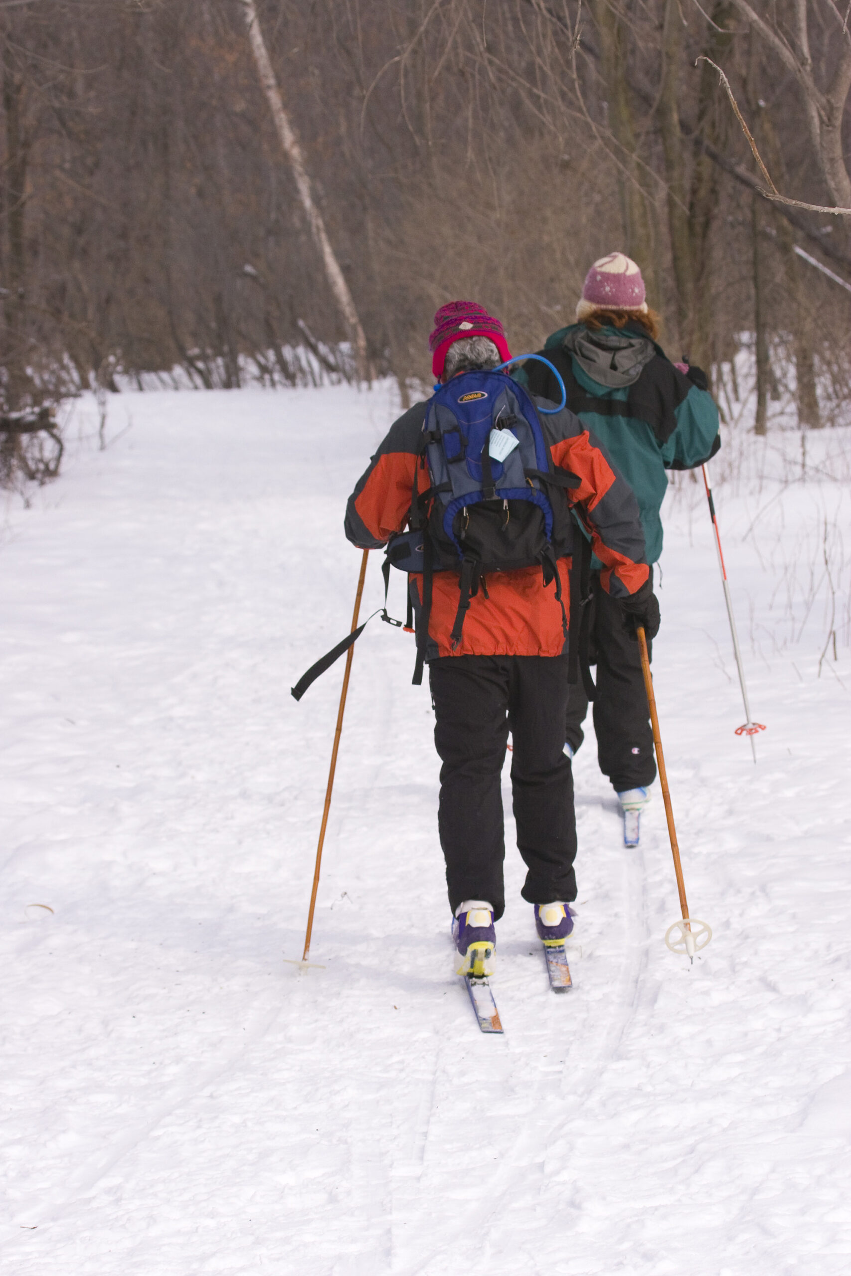 Deux adeptes du ski de fond